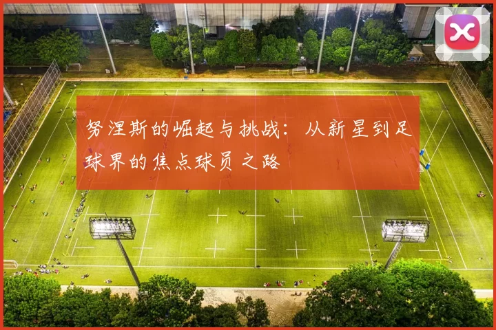 努涅斯的崛起与挑战：从新星到足球界的焦点球员之路