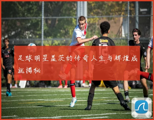 足球明星盖茨的传奇人生与辉煌成就揭秘