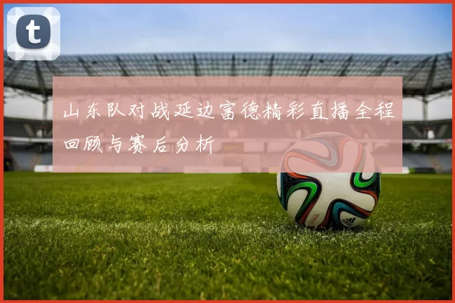 山东队对战延边富德精彩直播全程回顾与赛后分析